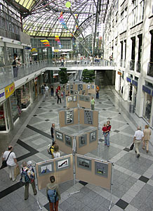 Foto: E. Schön Foto: E. Schön