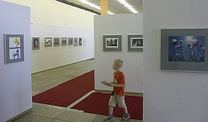 Foto: E. Schön Foto: E. Schön