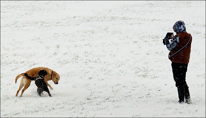 Foto: E. Schön