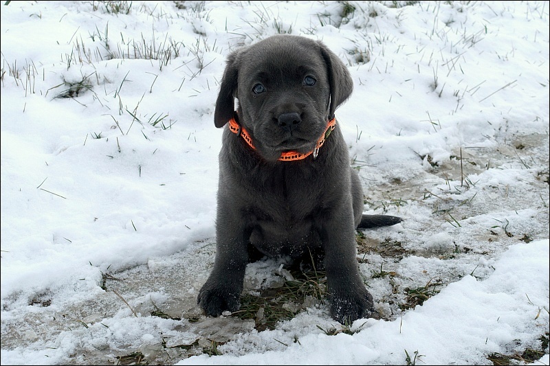 Spaziergang im Schnee