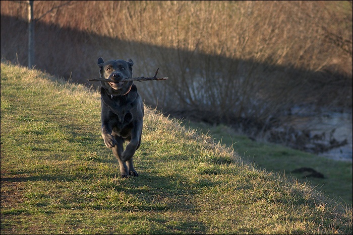 Foto: E. Schön