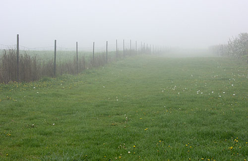 Foto: E. Schn