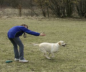 Foto: E. Schön